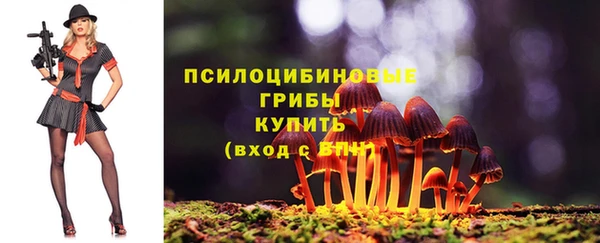 прущая мука Беломорск
