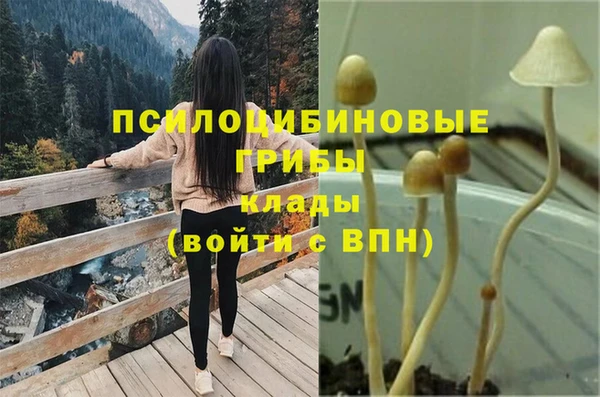 гашик Белоозёрский