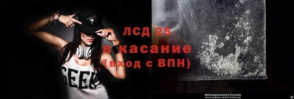 спайс Богданович