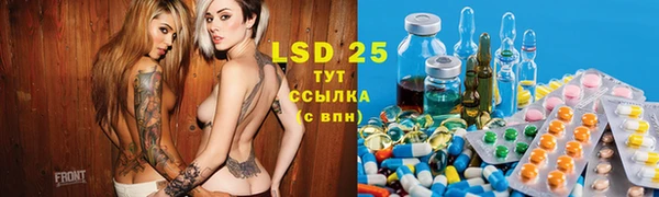 спайс Богданович